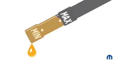 vid importanciadelacite thumb